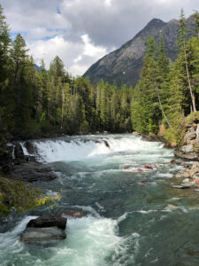 rushing river and small waterfall running through a forest