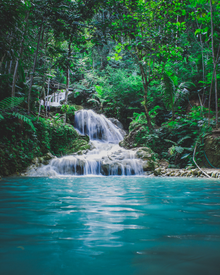 small waterfall rushing into a river in a lush green forest