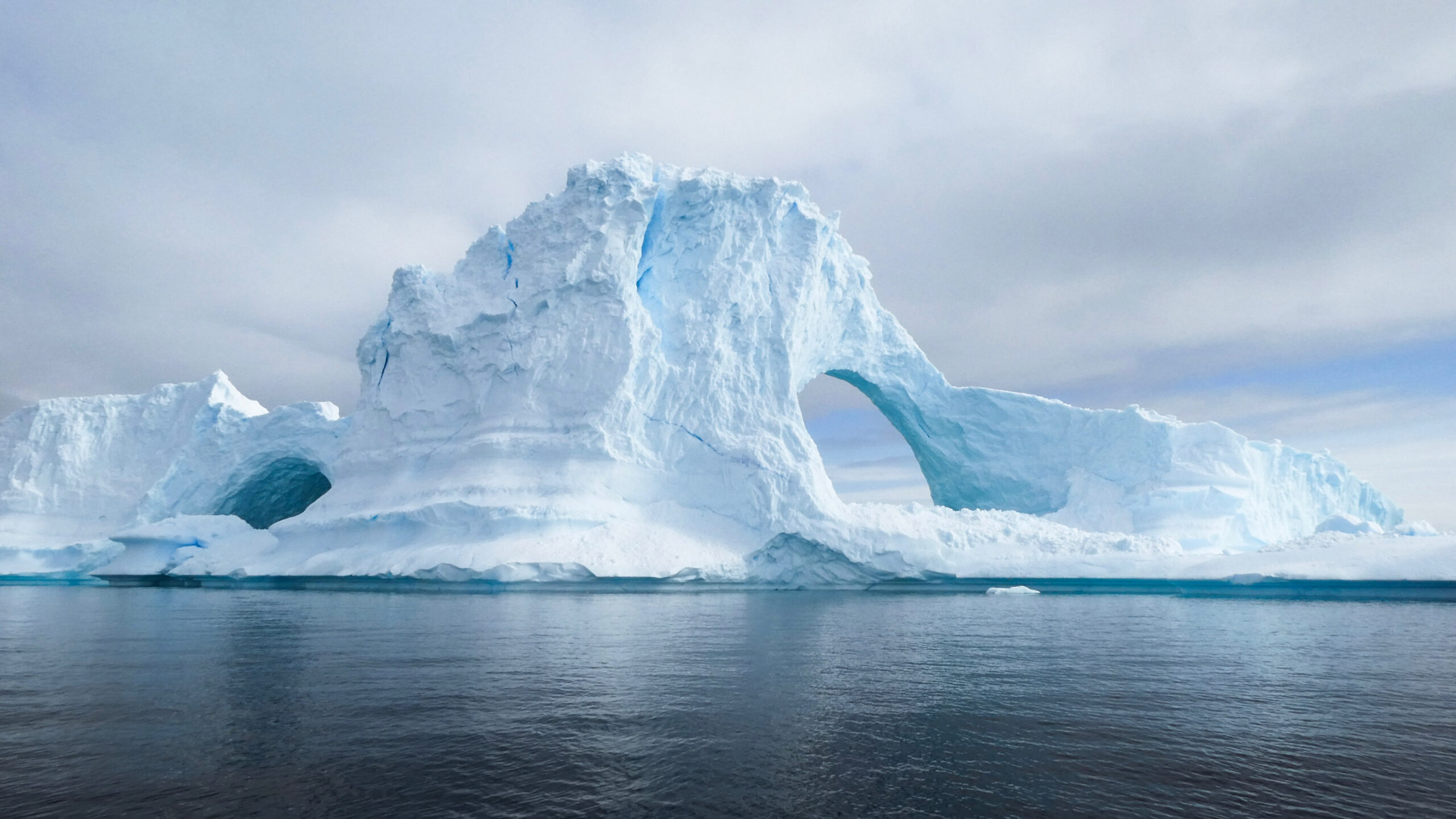 pristine white and blue glaciers in antarctica