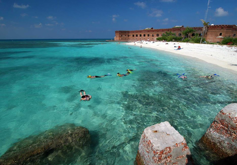adventures for all group snorkeling in the clear waters of the dry tortugas