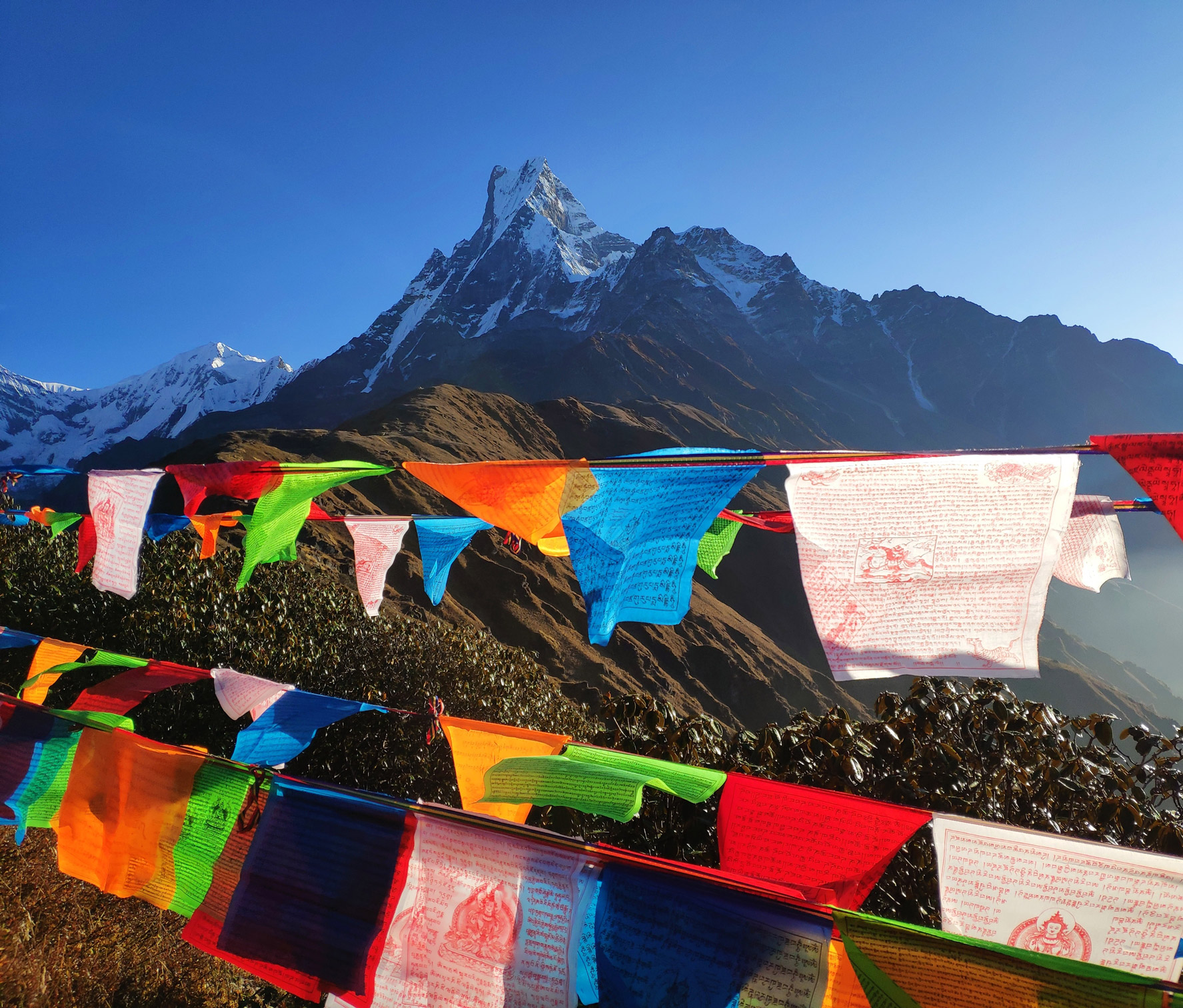 colorful flags in the nepal base camp with mountains in the background