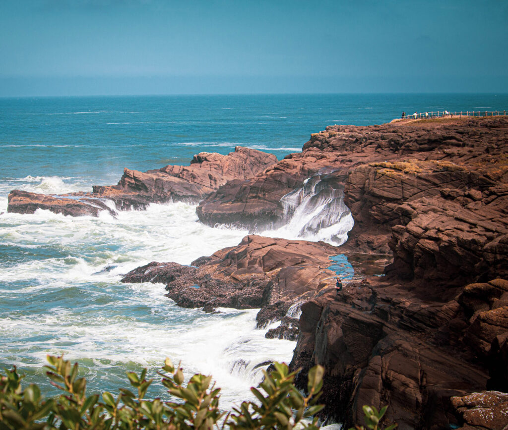 view from the oregon coast overlooking the ocean