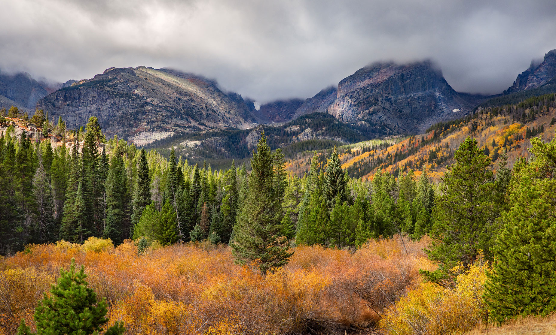 the rocky mountains shrouded in mist with fall colored trees in the foreground