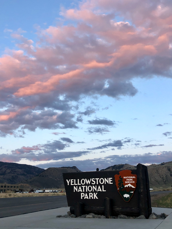 wood yellowstone national park sign below pink clouds