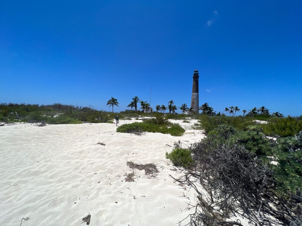 lighthouse on the beach