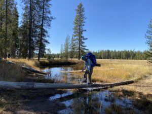 Yellowstone