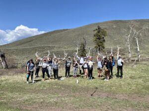 Yellowstone antlers