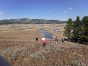 Yellowstone