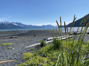 Alaska river