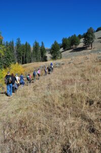 Yellowstone hike