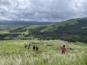 Yellowstone