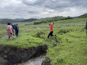 Yellowstone field