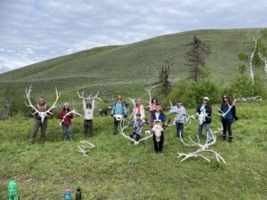 Yellowstone antlers