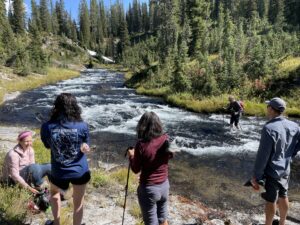 Yellowstone