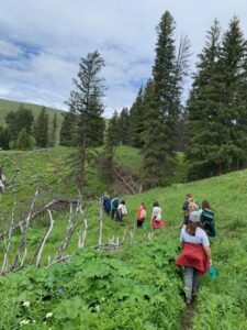 Yellowstone hike