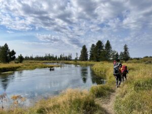 Yellowstone