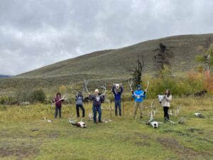 Yellowstone antlers