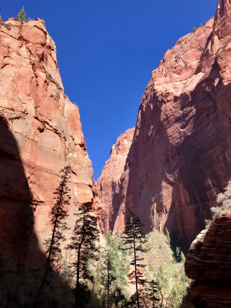 Zion