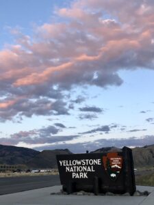 Yellowstone