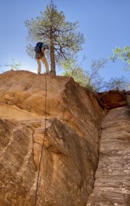 Zion repelling