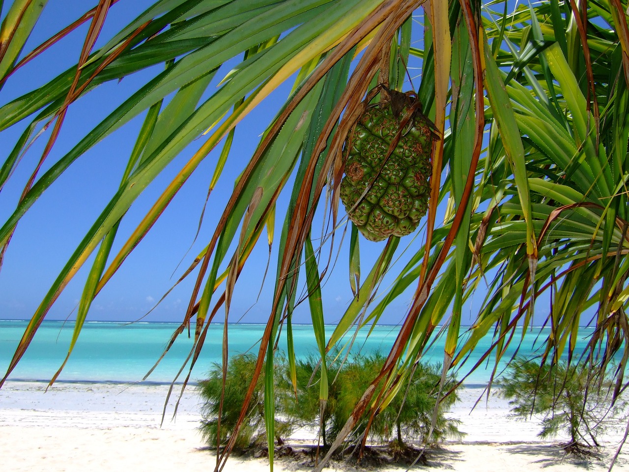 Zanzibar beach